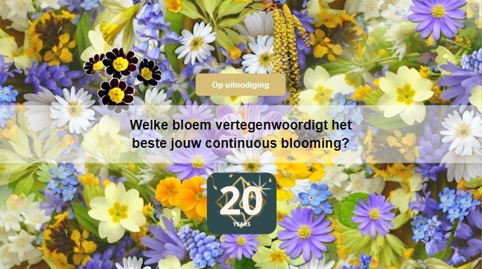 blooming nl