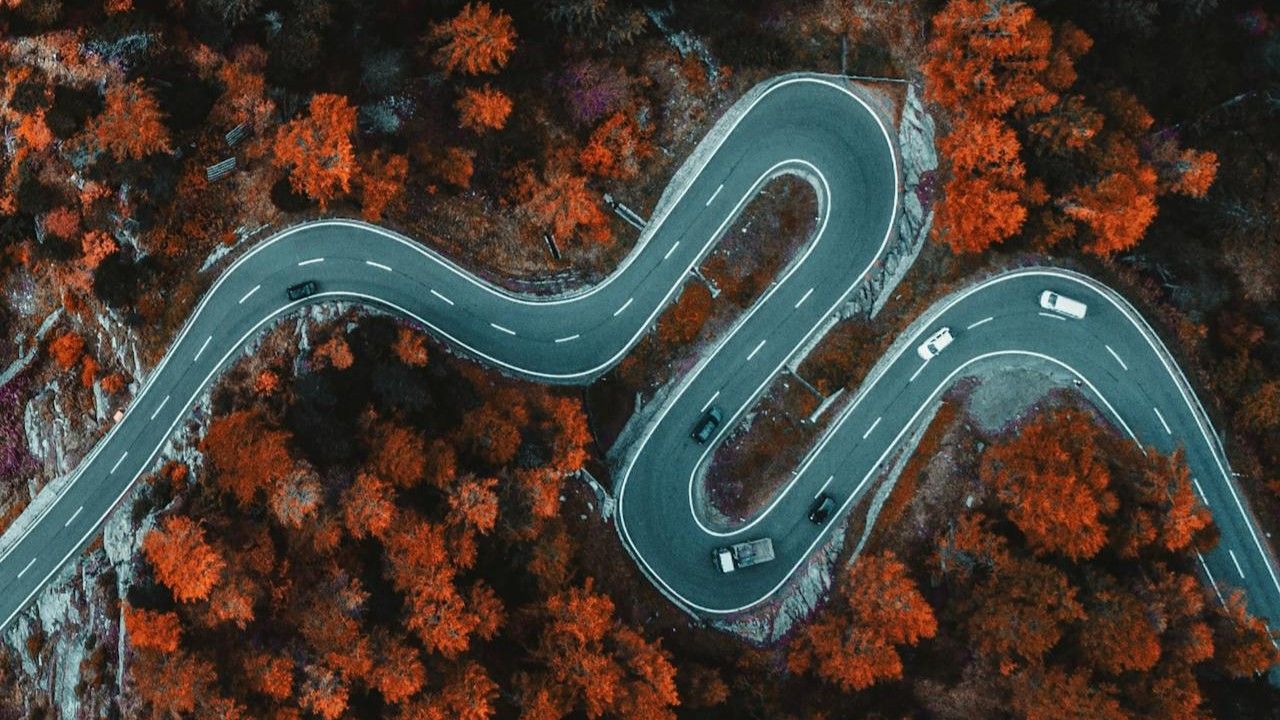 pexels-eberhardgross-1612461 (1)